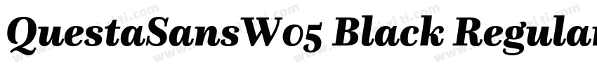 QuestaSansW05 Black Regular字体转换